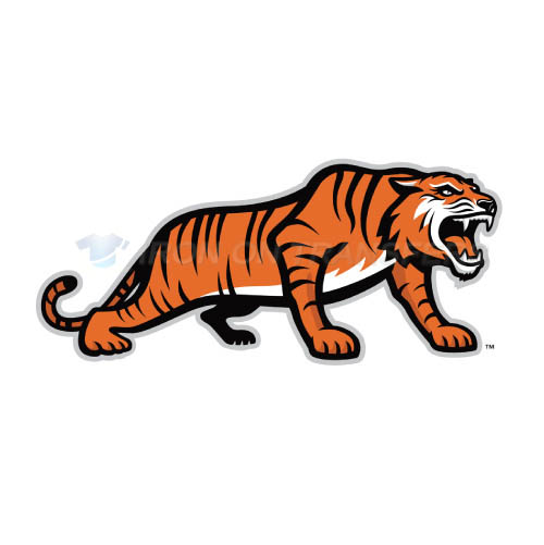 RIT Tigers Logo T-shirts Iron On Transfers N6013
